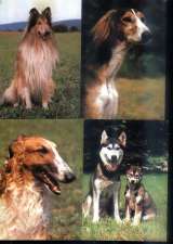 Открытки собаки Чехословакия