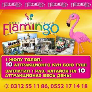 Парк развлечений Flamingo. Заплатил 1 раз, катайся на 10 аттракционах весь день