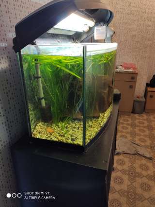 Aquael аквариум на 100 л