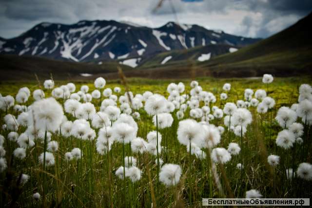 Маркетплейс аренды транспорта GetMeCar