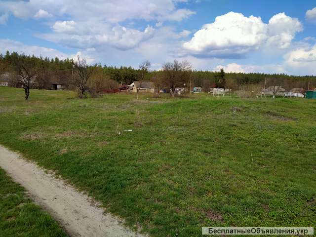 Участок Прохоровка река Днепр центр 12 сот