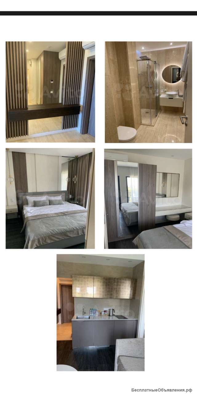 АК лучезарный