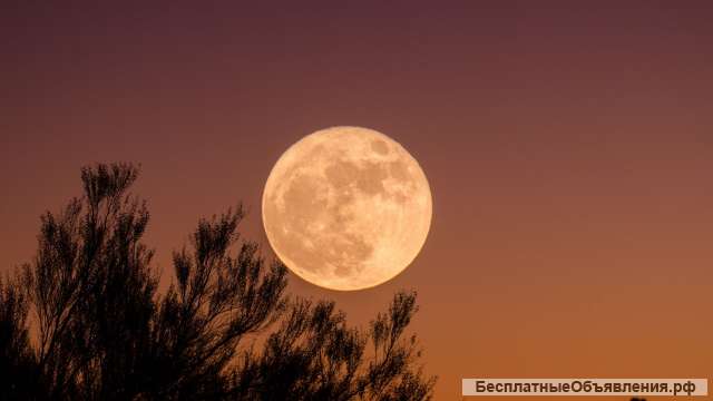 Все виды колдовских услуг