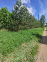 Участок 25 соток в д. Сабельское (Старое Ярославское шоссе), 110 км от МКАД