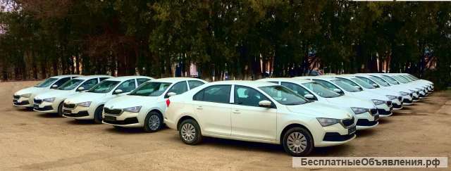 Шкода рапид мкпп/акпп. 2020-21 г. в аренду