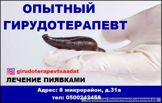 Опытный гирудотерапевт. Лечение пиявками.