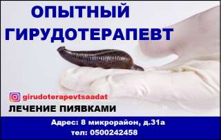 Опытный гирудотерапевт. Лечение пиявками.