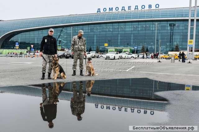 Военная служба