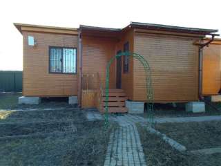 Одноэтажный дом, каркасный в американском стиле, односкатный со всеми удобствами