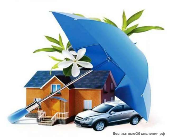 Страхование на все случаи жизни онлайн