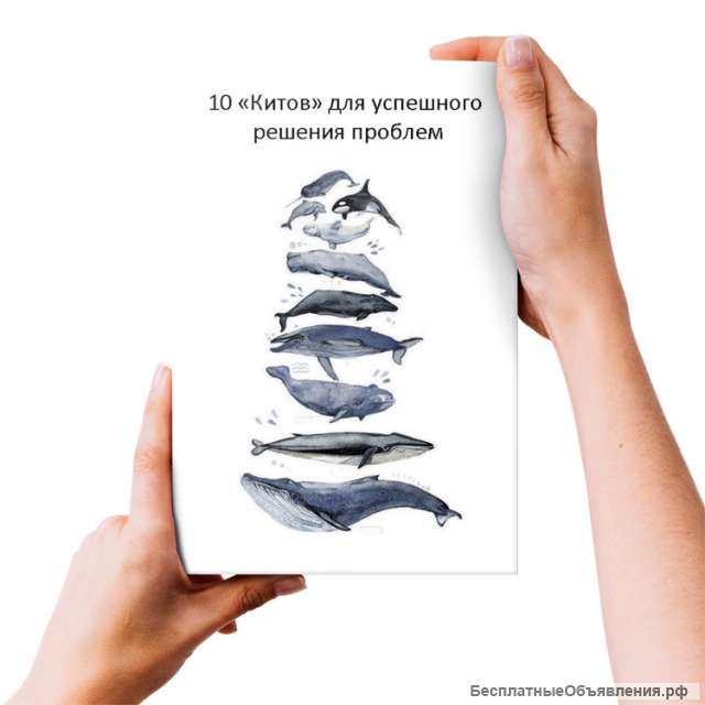 10 Главных правил - «Китов» для успешного решения проблем
