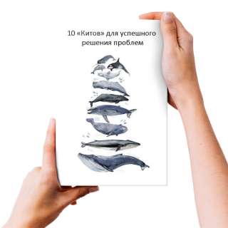 10 Главных правил - «Китов» для успешного решения проблем