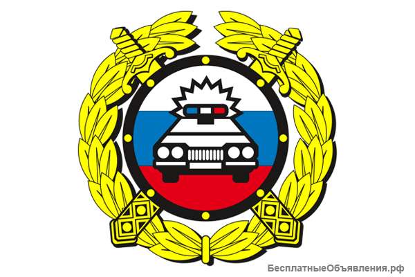 Инспектор ДПС