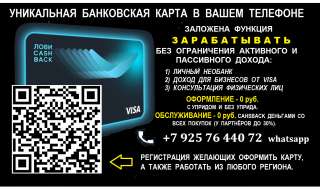 Региональный руководитель проекта VISA