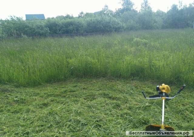 Скосим сорняки, траву на Вашем участке
