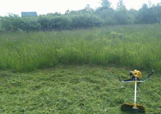 Скосим сорняки, траву на Вашем участке