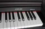 Цифровое пианино Orla CDP 101 палисандр