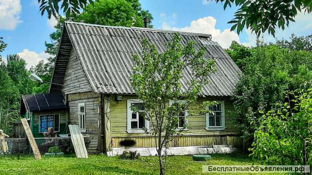 Крепкий домик с баней в хуторного типа деревушке под Псковом