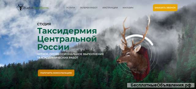 Студия – мастерская «Таксидермия Центральной России»: - изготовление, оформление Чучел животных: зв