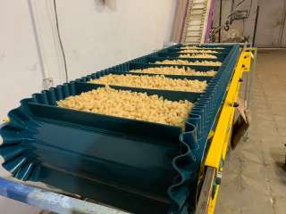 Конвейер ленточный горизонтальный для бережной транспортировки сыпучих грузов