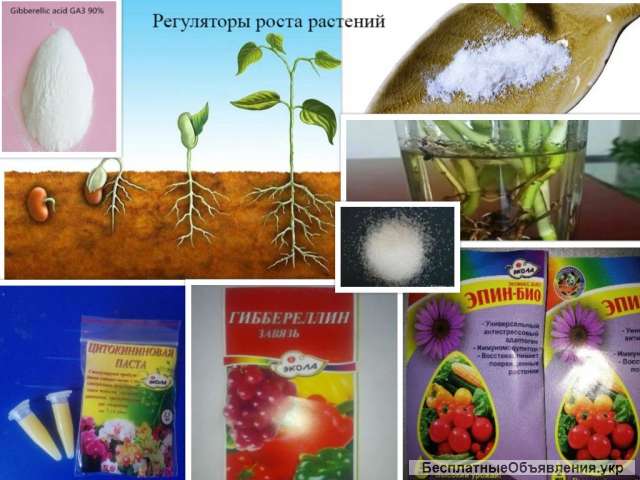 Регуляторы роста растений индикаторы химреактивы