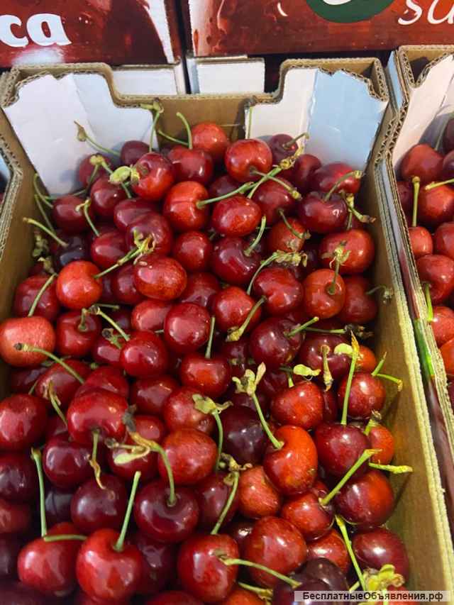 Оптовые поставки черешни