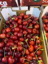 Оптовые поставки черешни