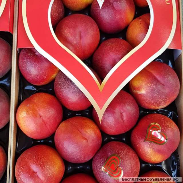 Оптовые поставки нектаринов