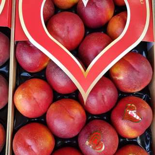 Оптовые поставки нектаринов