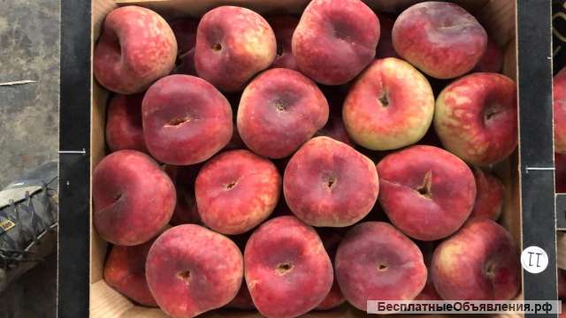 Оптовые поставки плоского персика