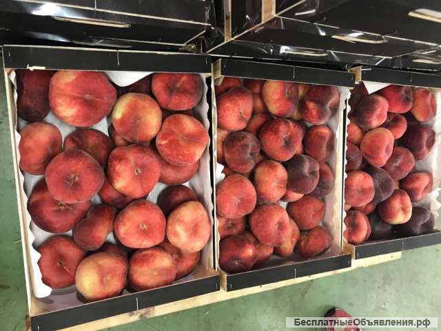 Оптовые поставки плоского персика
