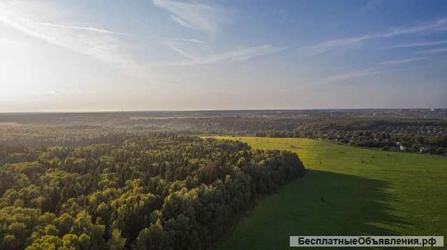 Гжельский лес