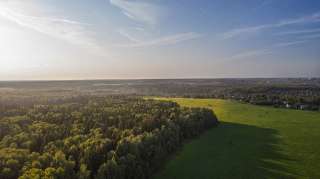 Гжельский лес