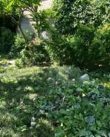 Аренда дешекой комнаты без посредников