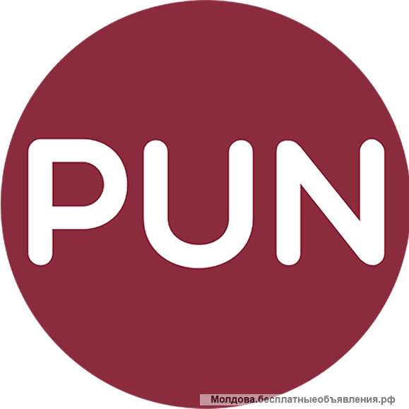 Partidul PUN - gata să reîntoarcă Republica Moldova acolo unde îi este locul predestinat