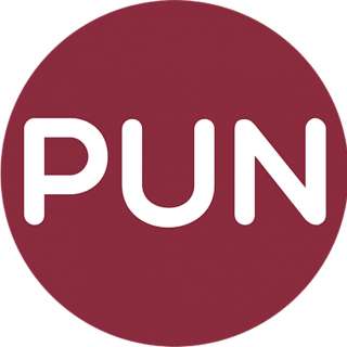 Partidul Unității Naționale - soluția care ne-ar putea întoarce demnitatea istorică