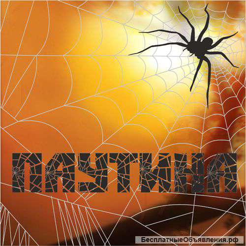 Аттракцион Паутина Лабиринт