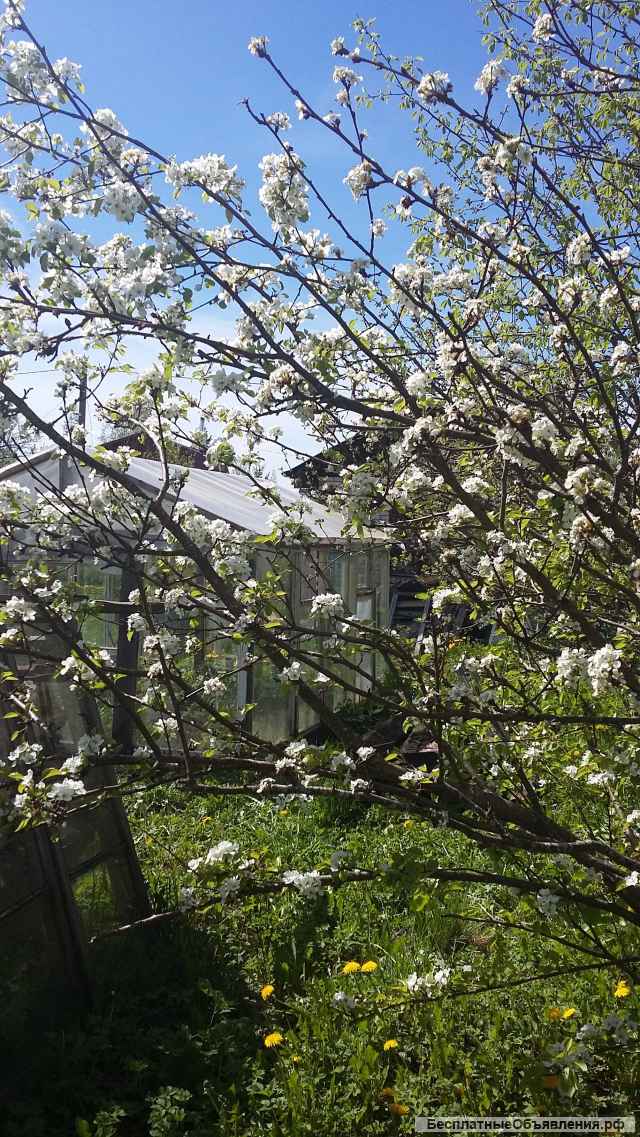 Участок 6.6 соток (на самом деле почти 9 соток) с кирпичным домом 15 кв.м