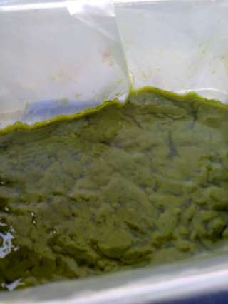 Новые БИО технологии