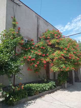 Ново покровка 10 сот. 2 этаж. 9 комнат.