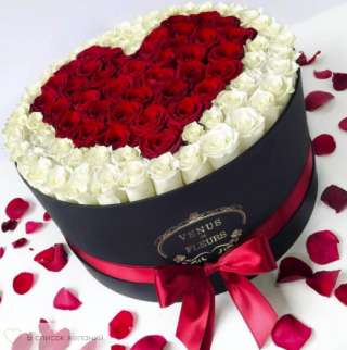 101 роза в коробке