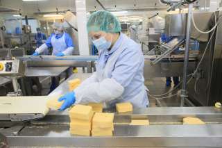 Работа в Швеции на упаковку и фасовку сырной продукции
