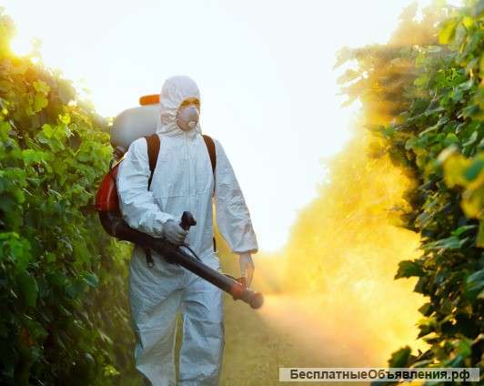 Дезинфекция от бактерий и вирусов в Белгороде