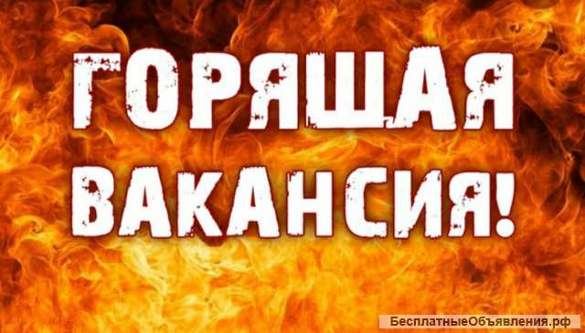 На склад требуется водитель электропогрузчика