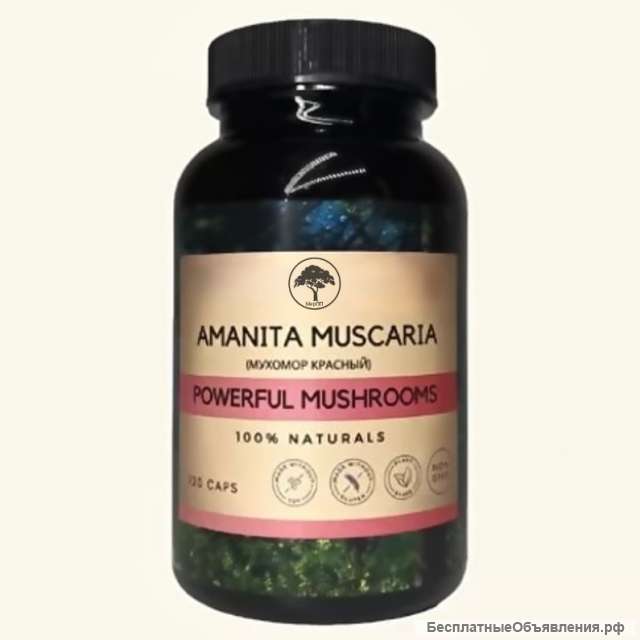 Мухомор красный