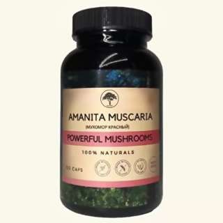 Мухомор красный