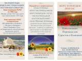 Качественные нотариальные переводы для туристов и компаний