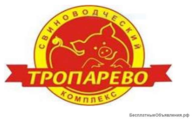 Старший оператор по уходу за животными