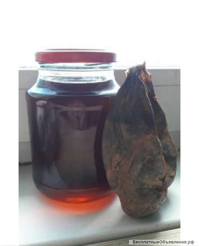 Кастореум (Железы)