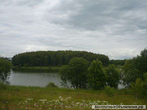 Поселок Чистые пруды